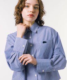 LACOSTE/ボリュームスリーブ ストライプクロップド 長袖シャツ/506011762