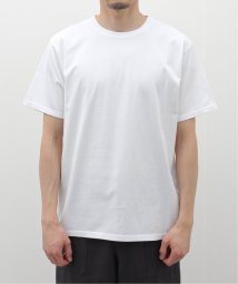 EDIFICE(エディフィス)/【CALMER / カルメール】別注  ナチュラルダイ  Tシャツ/ホワイト