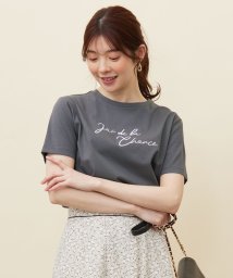 any SiS L(エニスィス（大きいサイズ）)/ロゴ刺繍 Tシャツ/スレート