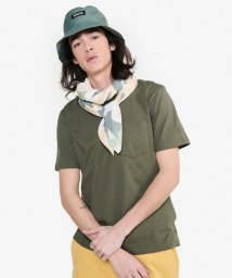ＡＩＧＬＥ MEN(エーグル　メンズ)/オーガニックコットン ワンポイント刺繍ロゴ クルーネックポケット半袖Tシャツ/ダークグリーン