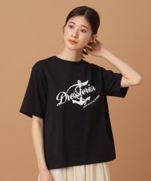 DRESSTERIOR/【洗える/大人カジュアル】マリンロゴプリントTシャツ/506017401