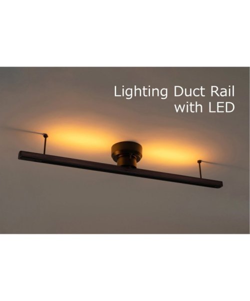 JOURNAL STANDARD FURNITURE(ジャーナルスタンダード　ファニチャー)/Lighting Duct Rail with LED ライティングダクトレール/ブラック