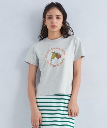 green label relaxing(グリーンレーベルリラクシング)/＜KIJUN＞パロット プリント Tシャツ/MD.GRAY