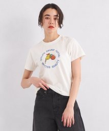 green label relaxing(グリーンレーベルリラクシング)/＜KIJUN＞パロット プリント Tシャツ/OFFWHITE