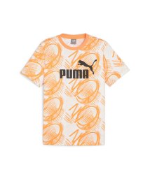 PUMA(PUMA)/メンズ プーマ パワー AOP 半袖 Tシャツ/CLEMENTINE