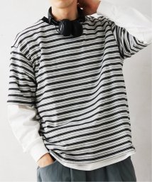 JOURNAL STANDARD relume Men's(ジャーナルスタンダード　レリューム　メンズ)/【HOUSE HOLD / ハウスホールド】 マルチボーダーTシャツ/ブラック