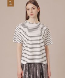 MACKINTOSH LONDON/【L】【The Essential Collection】プレーティング天竺ボーダーリラックスＴシャツ/505999467