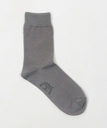 green label relaxing/【別注】＜ROSTER SOX＞スムース ソックス / 靴下/506001894