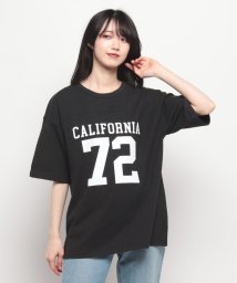 Ocean Pacific/【OP】LADYSハンソデ Tシャツ/506009400