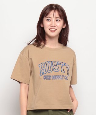 RUSTY/【RUSTY】LADYSハンソデ Tシャツ/506009434