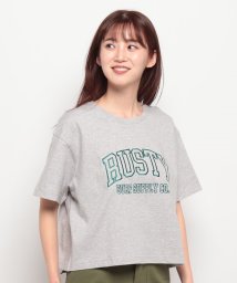 RUSTY(ラスティ（レディース）)/【RUSTY】LADYSハンソデ Tシャツ/グレー