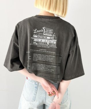 Classical Elf/《Javaジャバコラボ》ゆるっとカジュアルに。コットン100％ダイナープリントヴィンテージライクピグメントTシャツ/506019494