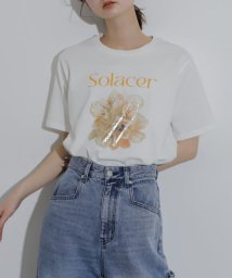 SENSE OF PLACE by URBAN RESEARCH/グラフィックTシャツ(半袖)/506026924