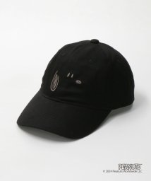 green label relaxing(グリーンレーベルリラクシング)/【別注】＜Portland Hat and Co.＞キャップ / 帽子/BLACK