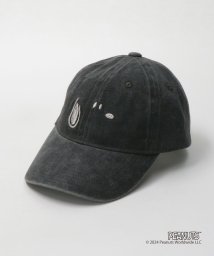 green label relaxing(グリーンレーベルリラクシング)/【別注】＜Portland Hat and Co.＞キャップ / 帽子/MD.GRAY