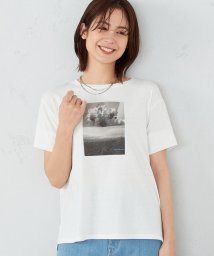 COMME CA ISM (コムサイズム（レディス）)/速乾 フォトプリントＴシャツ/ホワイト