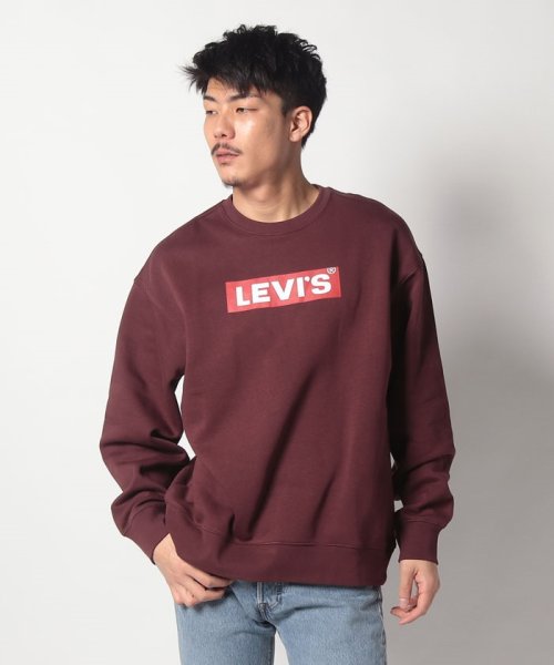 LEVI’S OUTLET(リーバイスアウトレット)/RELAXD GRAPHIC CREW SSNL CORE BOXTAB DEC/ブラウン 