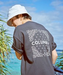 Columbia(コロンビア)/ウィメンズトゥリースワローオムニフリーズゼロショートスリーブTシャツ/ブラック