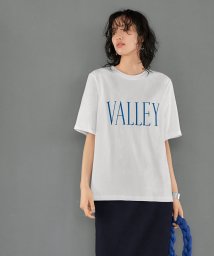 STYLE DELI/VALLEYロゴTシャツ/506028320