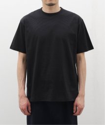 JOURNAL STANDARD/ALBINI JERSEY ボーダーカットソー/506028401