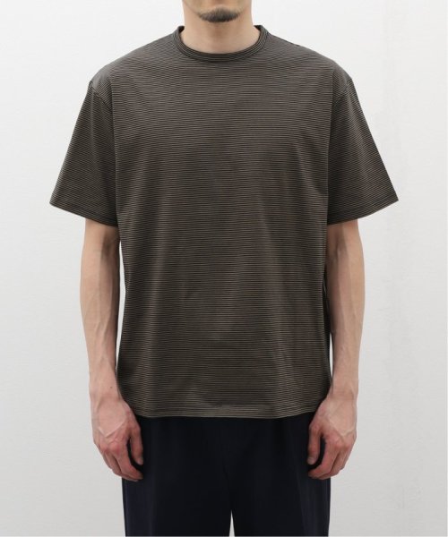 JOURNAL STANDARD(ジャーナルスタンダード)/ALBINI JERSEY ボーダーカットソー/カーキ