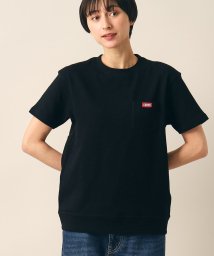 Dessin/CHUMS（チャムス） Keystone Pocket Tシャツ/506029473