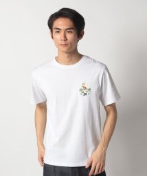 offprice.ec/【SALTS/ソルツ】Tシャツ/505998612