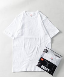 Nylaus(ナイラス)/BEEFY ビーフィー リブ クルーネック 半袖Tシャツ/ホワイト