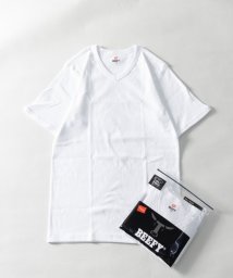 Nylaus(ナイラス)/BEEFY ビーフィー リブ Vネック 半袖Tシャツ/ホワイト