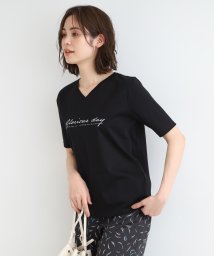 INDIVI/【洗える／コットン100％】VネックロゴTシャツ/506030776