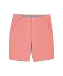 PUMA(PUMA)/メンズ ゴルフ 101 ソリッド ショーツ 9/MELONPUNCH