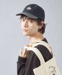 ABAHOUSE(ABAHOUSE)/【DICKIES/ディッキーズ】TWO TONE LOWCAP/ブラック