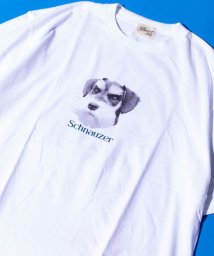 GLOSTER(GLOSTER)/【新柄追加】【GLOSTER/グロスター】DOG&CAT 犬猫プリントTシャツ/ホワイト系その他3