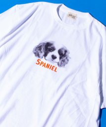 GLOSTER(GLOSTER)/《24SS新柄追加!!》【GLOSTER/グロスター】DOG&CAT 犬猫プリントTシャツ/ホワイト系その他2