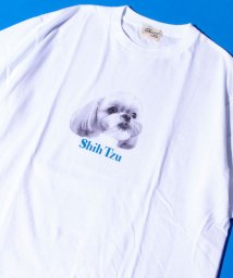 GLOSTER/《24SS新柄追加!!》【GLOSTER/グロスター】DOG&CAT 犬猫プリントTシャツ/506031461