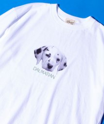 GLOSTER(GLOSTER)/【新柄追加】【GLOSTER/グロスター】DOG&CAT 犬猫プリントTシャツ/ホワイト系その他6