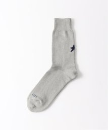 JOINT WORKS(ジョイントワークス)/【ROSTER SOX/ロスターソックス】 Star by X/グレーA