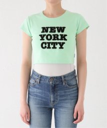 JOINT WORKS(ジョイントワークス)/【ANNA SUI NYC / アナスイエヌワイシー】 chenille T－shirts/グリーン