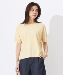 J.PRESS LADIES（LARGE SIZE）(J．プレス　レディス（大きいサイズ）)/【洗える】レーヨンエリートストレッチ ドルマン ニット/イエロー系