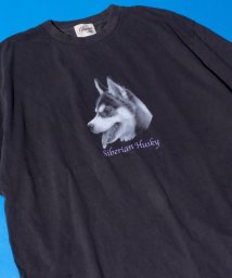 GLOSTER(GLOSTER)/【GLOSTER/グロスター】DOG&CAT 犬猫プリント ピグメント プリントTシャツ/ブラック系その他7