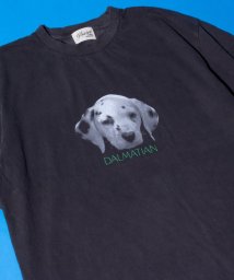 GLOSTER(GLOSTER)/【新柄追加】【GLOSTER/グロスター】DOG&CAT 犬猫プリント ピグメント プリントTシャツ/ブラック系その他6