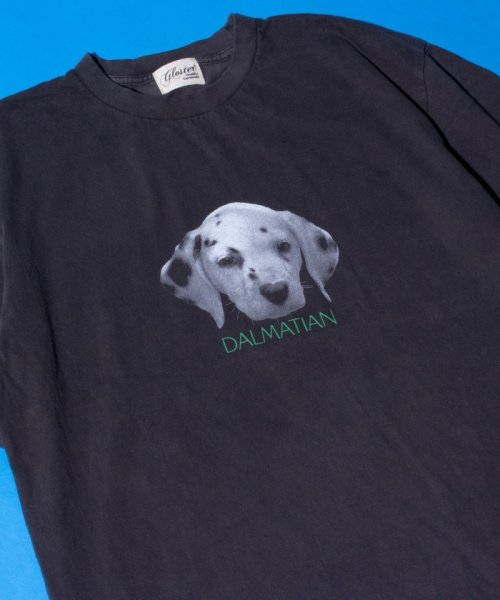 GLOSTER(GLOSTER)/【GLOSTER/グロスター】DOG&CAT 犬猫プリント ピグメント プリントTシャツ/ブラック系その他6