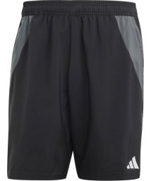 Adidas(アディダス)/adidas アディダス サッカー ティロ 24 コンペティション ダウンタイムショーツ GZI69/ブラック