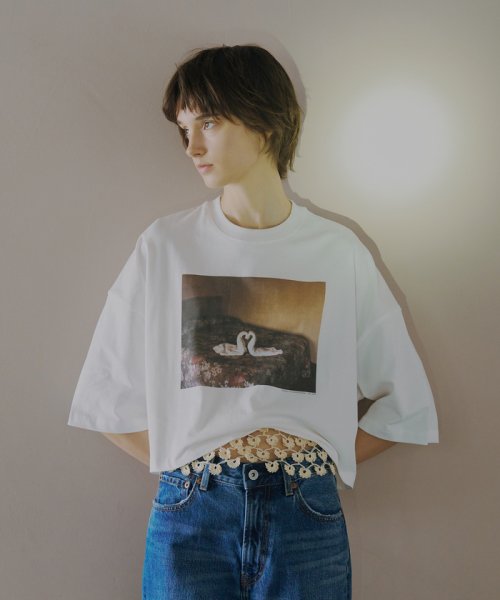 サロン　アダム　エ　ロペ(サロン　アダム　エ　ロペ)/【Alec Soth（アレック・ソス）】[24SS]クロップドフォトTシャツ/ホワイト（10）