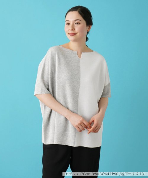 Leilian PLUS HOUSE(レリアンプラスハウス)/カラーブロッキングニットプルオーバー【LE TRICOT PERUGIA】/グレー系