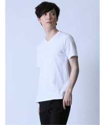 semanticdesign(セマンティックデザイン)/ランダムテレコ Vネック半袖Tシャツ/ホワイト
