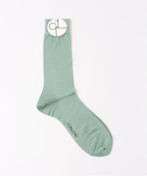 EDIFICE(エディフィス)/【CONLEAD / コンリード】Silk Solid Socks/グリーンE