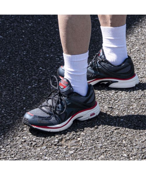 プレミアロード プラス VI / PREMIER ROAD PLUS VI プレミア