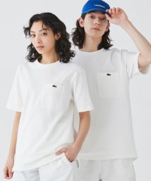 LACOSTE Mens(ラコステ　メンズ)/鹿の子地ポケット半袖Tシャツ/ホワイト