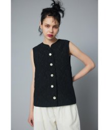 HeRIN.CYE(ヘリンドットサイ)/Jacquard vest/BLK